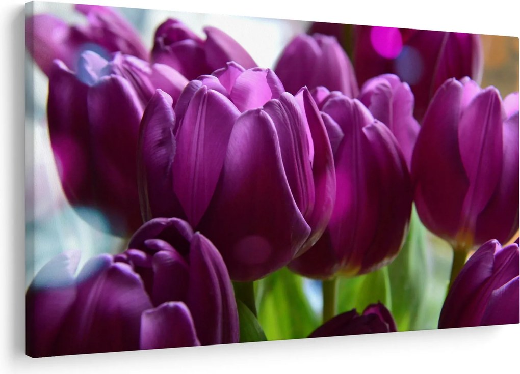 Tulipán képe (90x60 cm)