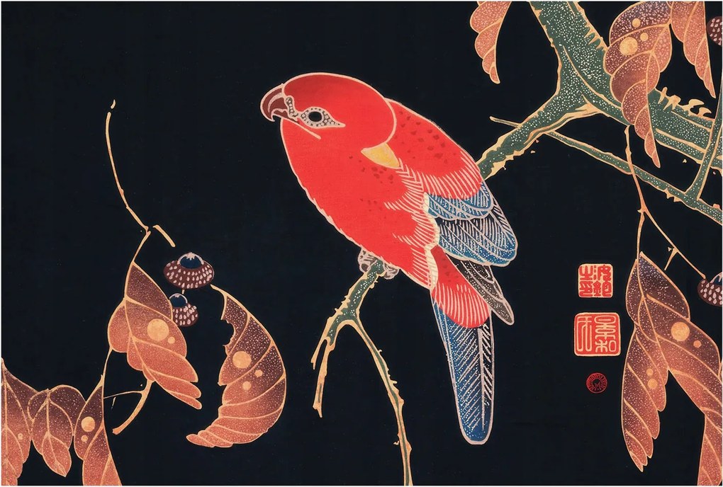 Fotótapéta Flizelin Hálószoba és Nappali Tapéta Egzotikus madár 104x70