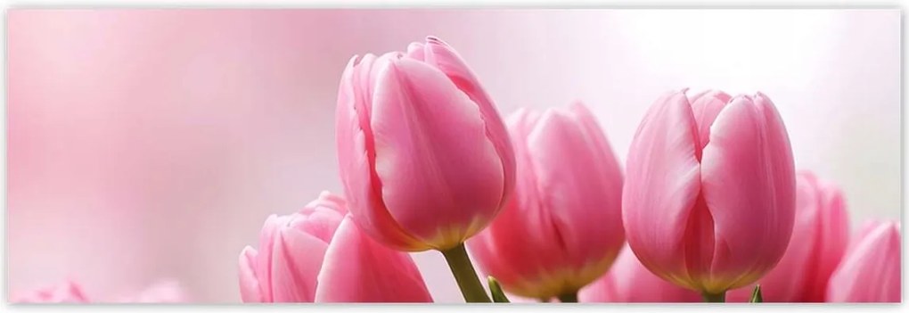 Poszterek 200x66 Rózsaszín tulipánok