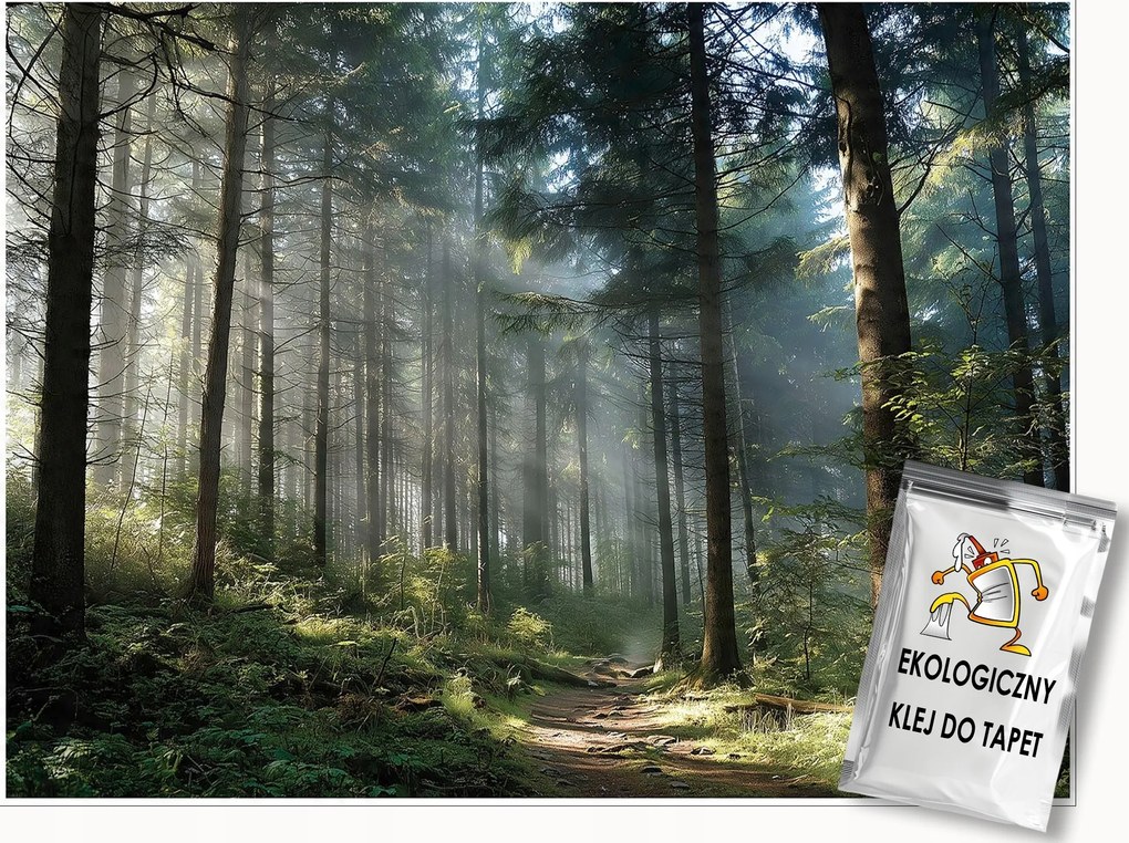 Fotótapéta Erdő 3D Fák Természet Tájkép Falra Hálószoba Nappali 400x280