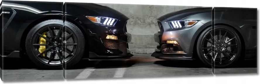 Vászonkép 170x50 Face to face Mustang