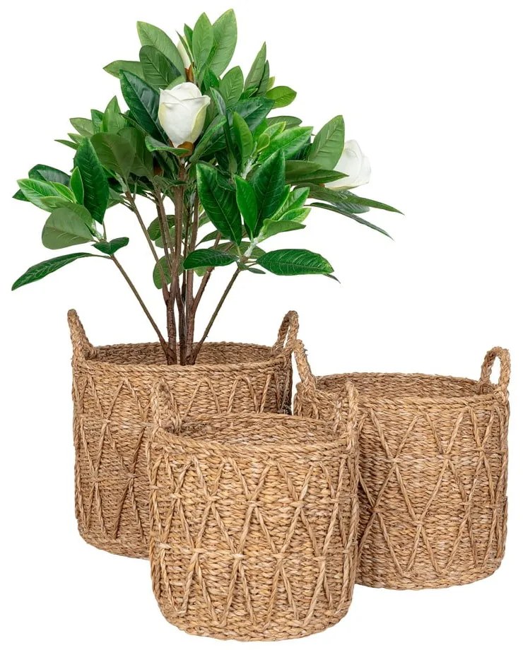 Tengerifű tárolókosár szett 3 db-os ø 32x30 cm Krabi – House Nordic