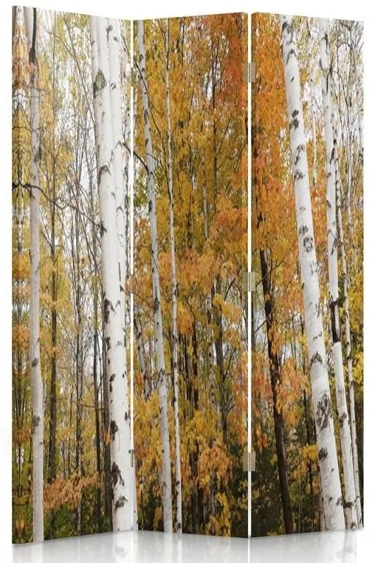 Gario Paraván Nyírfaerdõ osszel Méret: 110 x 170 cm, Kivitelezés: Klasszikus paraván