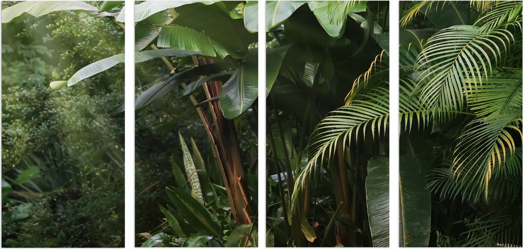 Faliképek a nappaliba Vászon dekoráció Trópusi erdő 60x120