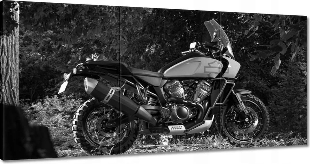 Képek 180x90 Harley Davidson Motorkerékpár