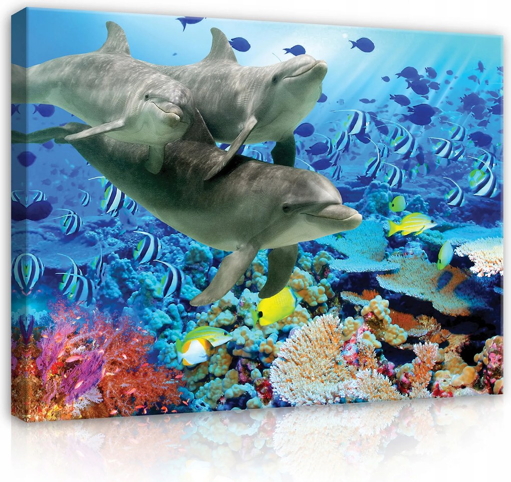 Vászonkép Gyerekeknek Delfinek Halak Óceán Vászon Falra Nagy Gyerek 100x70