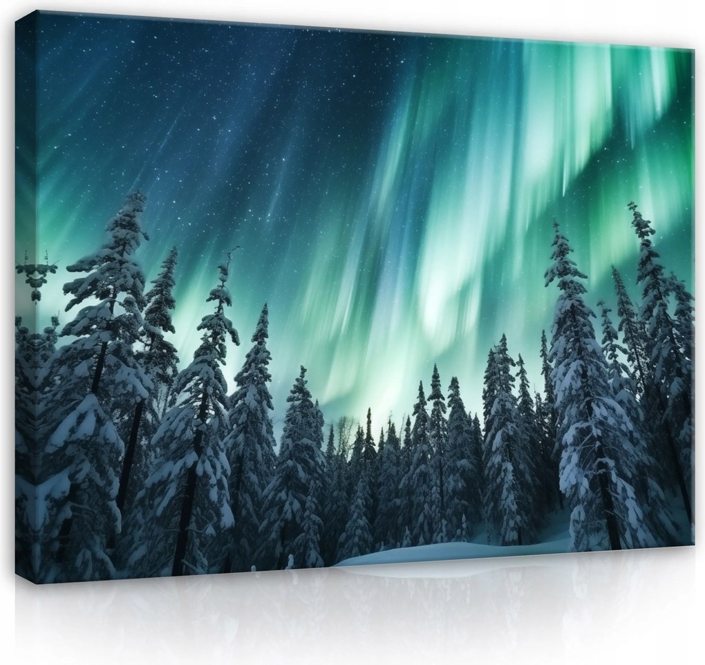 Vászonkép 80x60 Északi fény Tél Éjszaka Erdő Fák Hó Ég Kozmosz