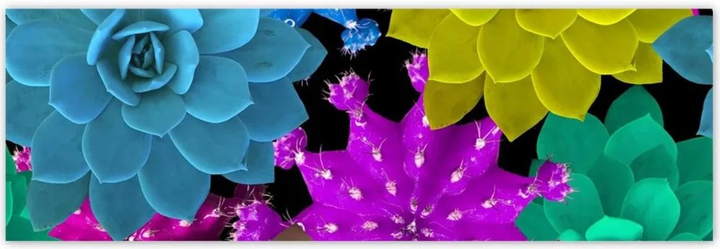 Poszterek 200x66 Színes virágok Virágok