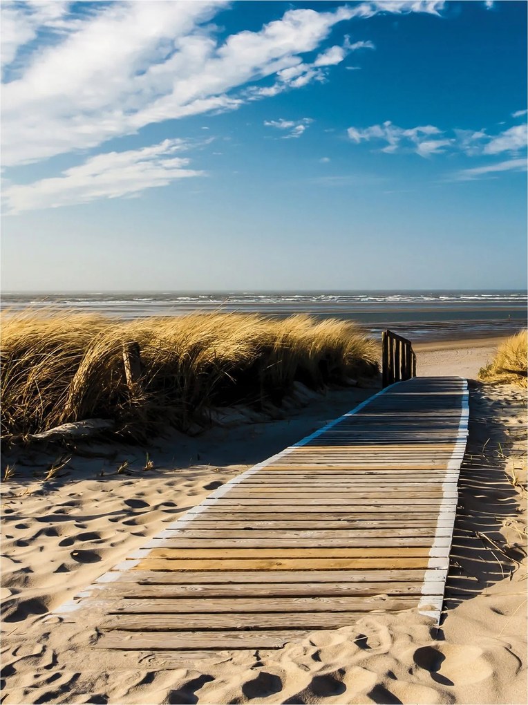 Fotótapéta Ösvény a tengerhez Nyugalom dűnék szellő és harmónia 184x254 +ragasztó