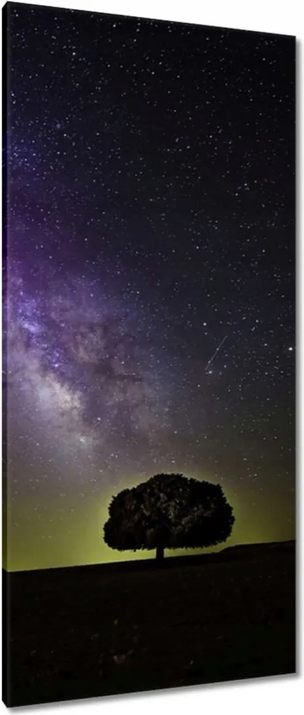 Vászonkép 55x115 Csillagos éj