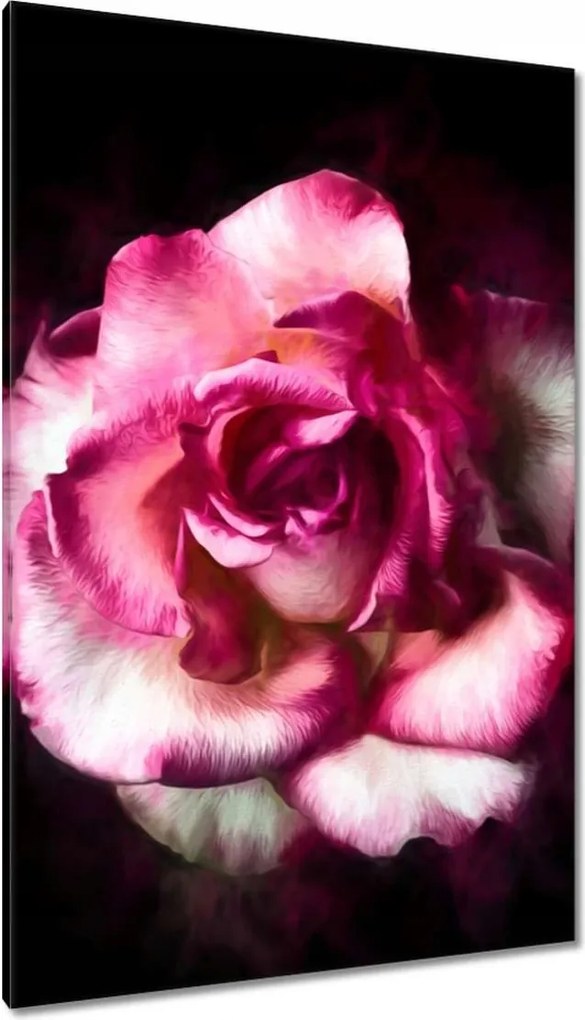 Vászonkép 80x120 Nagyvirágú rózsa Rózsa