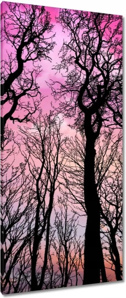 Vászonkép 55x115 Erdő Fák Kilátás alulról