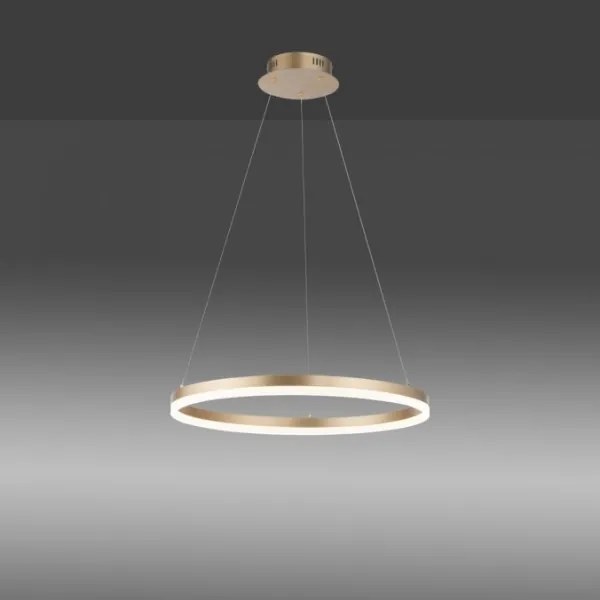 Paul Neuhaus 2382-60 - LED Dimmelhető csillár zsinóron TITUS LED/38,5W/230V