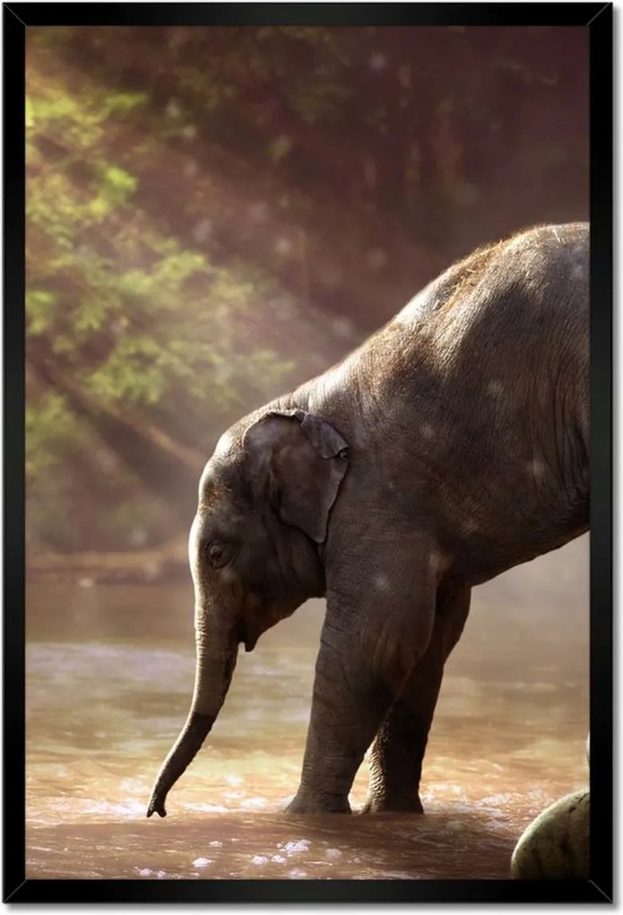 Poszterek keretben 40x60 Anyai szeretet