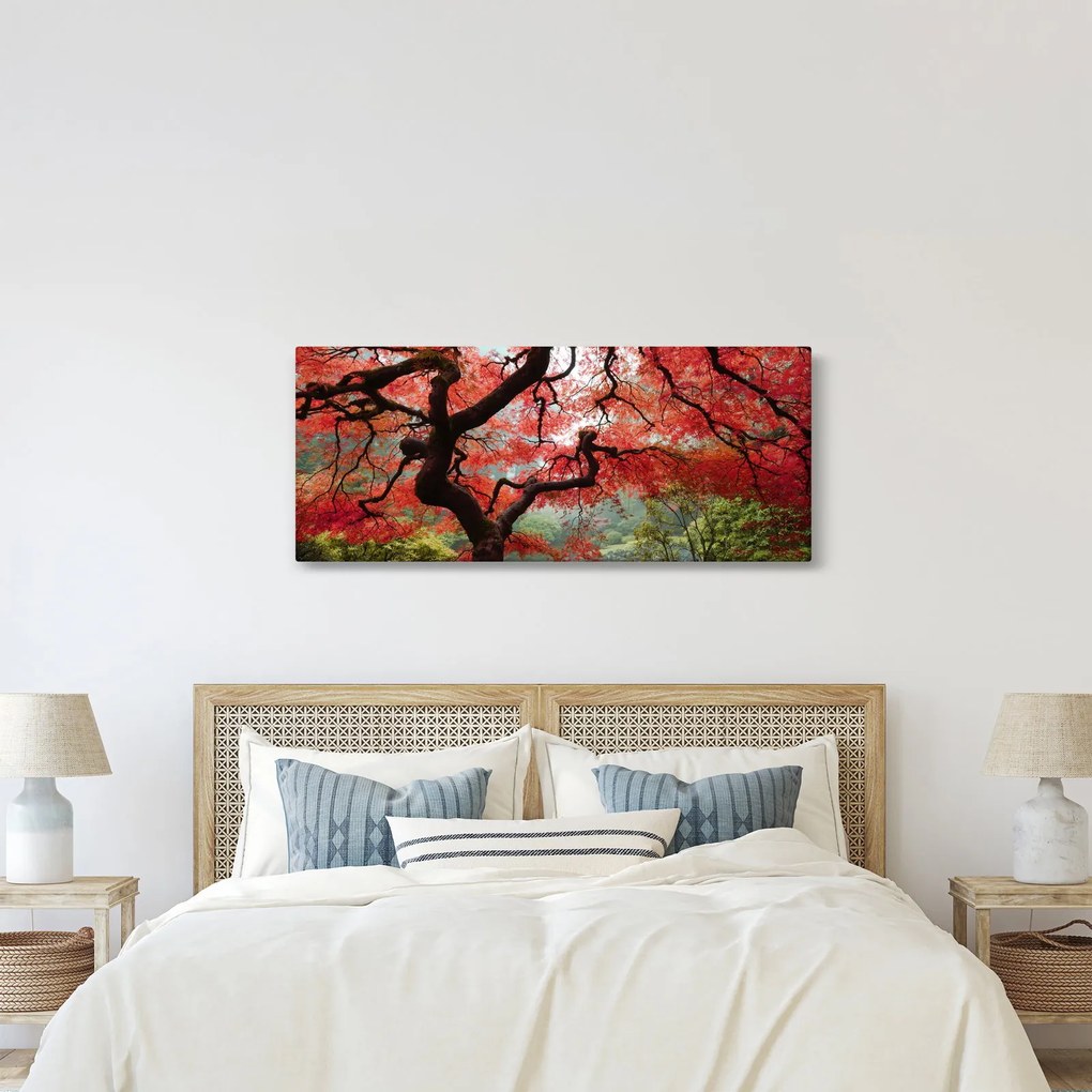 Red Japanese Maple, Portland, Oregon képe (120x50 cm)