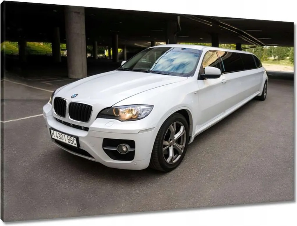 Vászonkép 90x60 Bmw X6 Limousine
