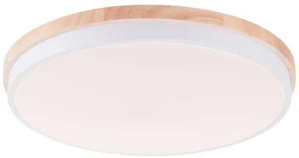 Brilliant - LED Dimmelhető mennyezeti lámpa BAARLO LED/36W/230V átm. 50 cm fehér + távirányító