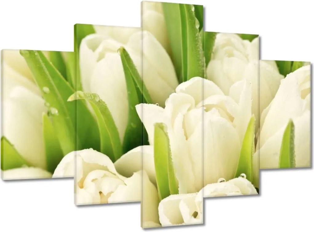Képek 150x105 Finom tulipánok