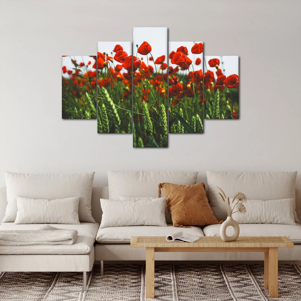 A pipacsok képe a szélben (150x105 cm)