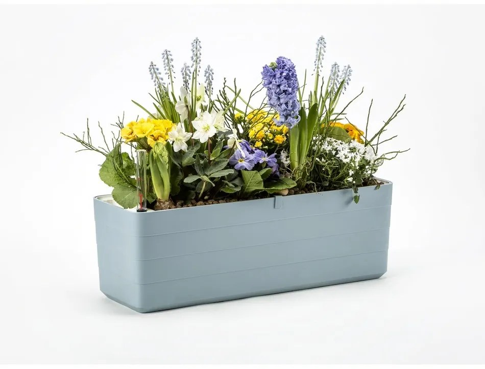 Plastia Berberis 80 önöntöző virágláda, szürkés- kék + fehér, 80 cm