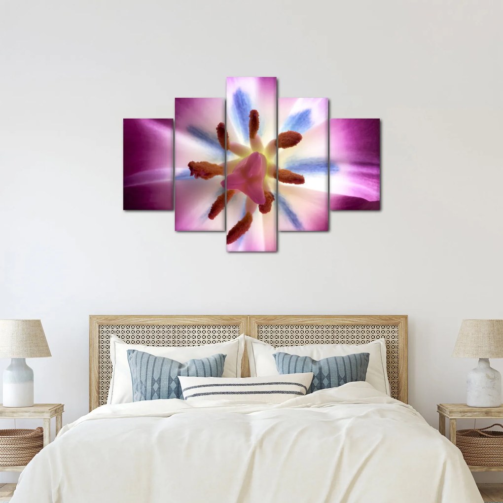 Kép - Tulipán virág részletesen (150x105 cm)