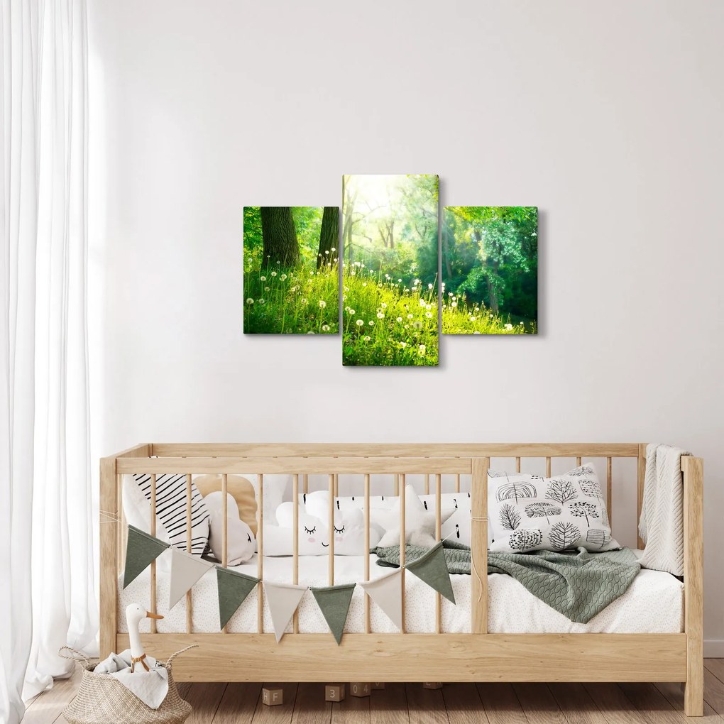 Kép - Varázslatos rét tele pitypanggal (90x60 cm)