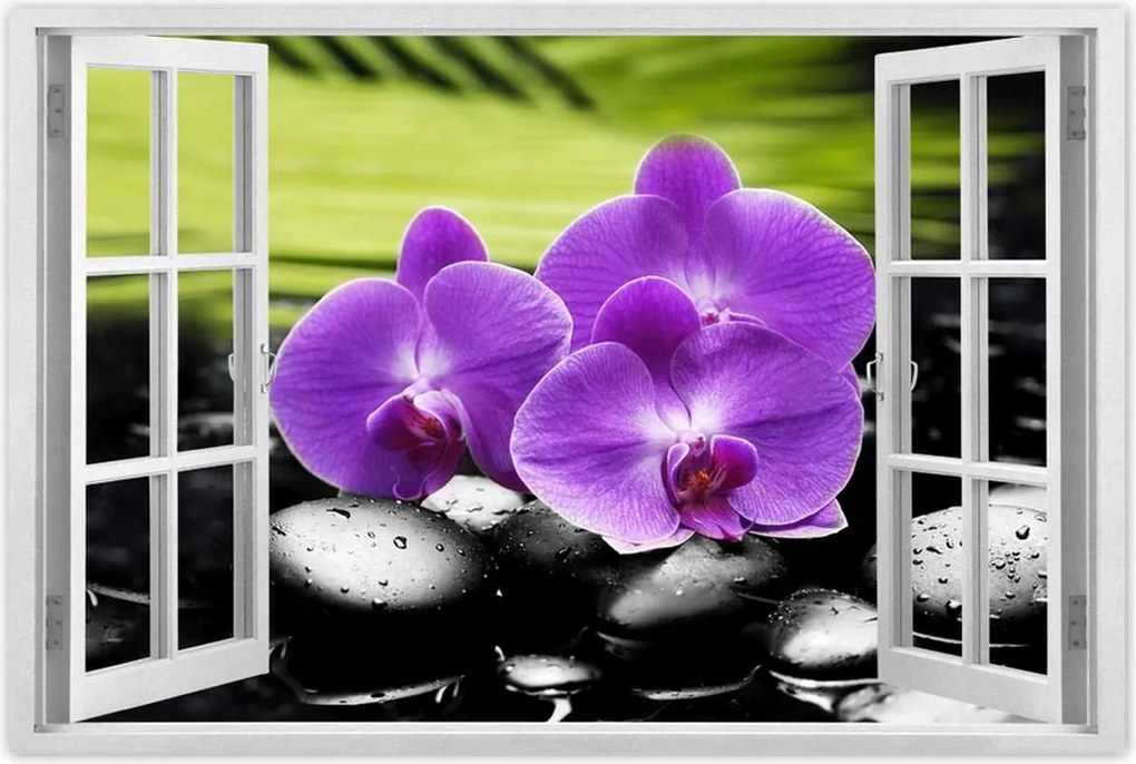 Poszterek 60x40 Orchideák a köveken