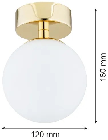 Argon 4004 - Fürdőszobai mennyezeti lámpa FLAVIO 1xE14/7W/230V IP44