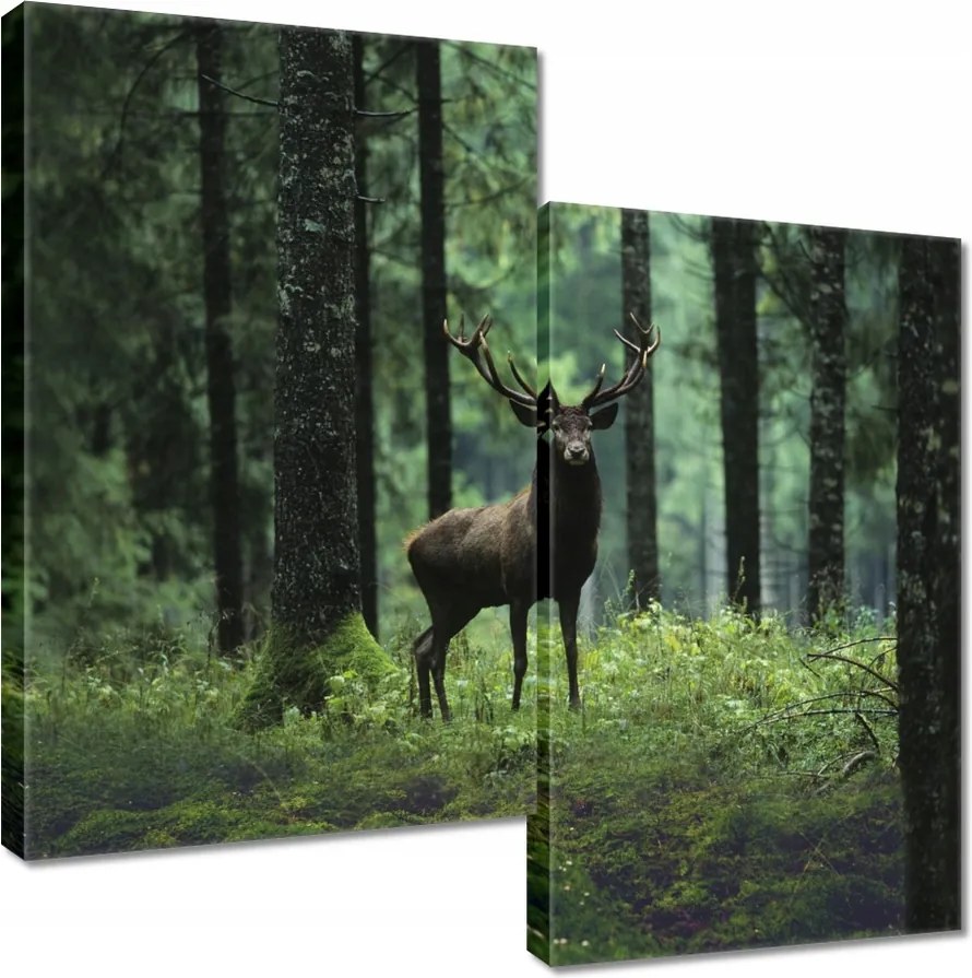 Vászonkép 60x60 Szarvas az erdő közepén