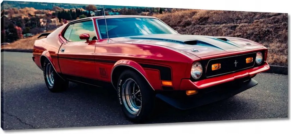 Festmények 100x40 Mustang Mach 1 from Usa