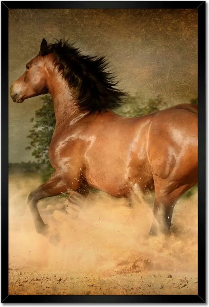 Poszterek keretben 40x60 Ló Lovak Lovaglás