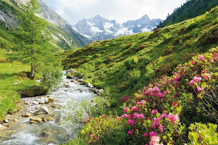 Plakát Alpy - Nature and Mountains