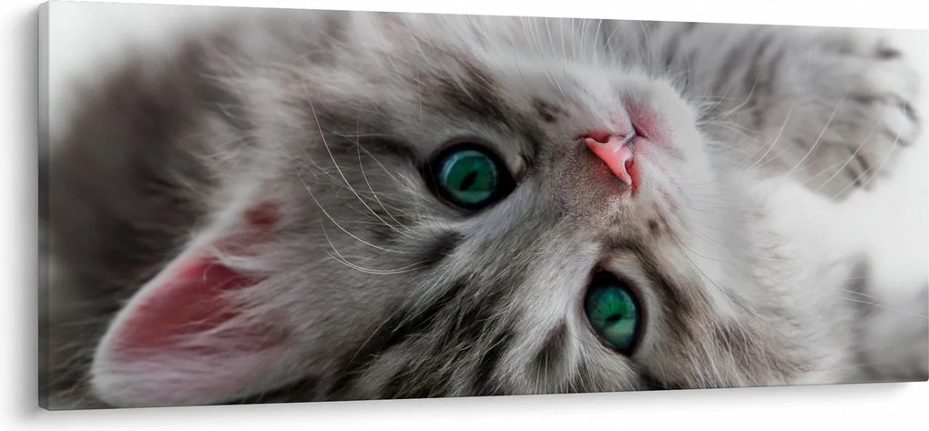 Kép - Macska zöld szemekkel (120x50 cm)