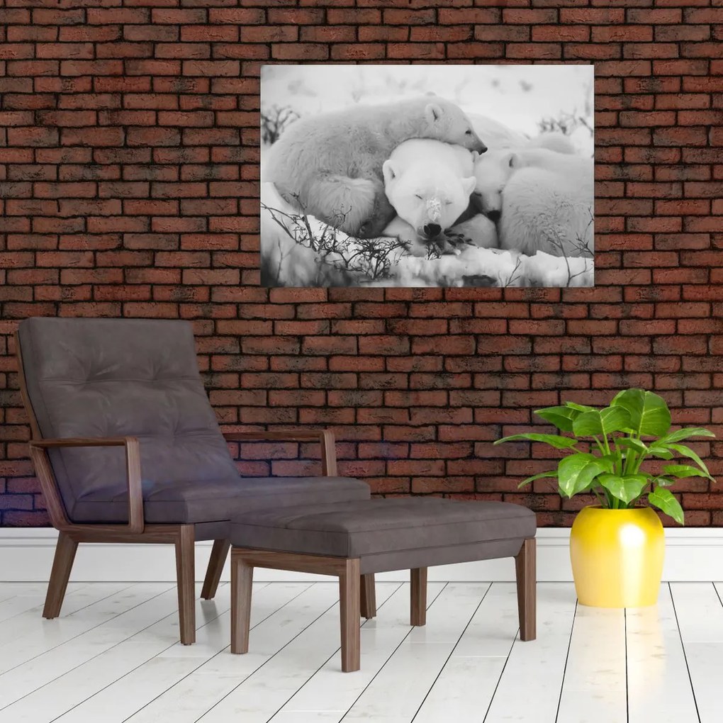 Kép - Jegesmedvék (90x60 cm)