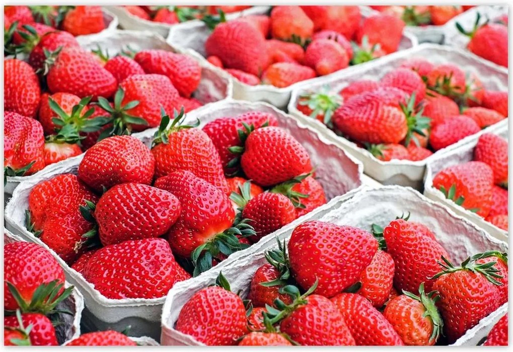 Poszterek 155x105 Konyhai képek Forradalmak