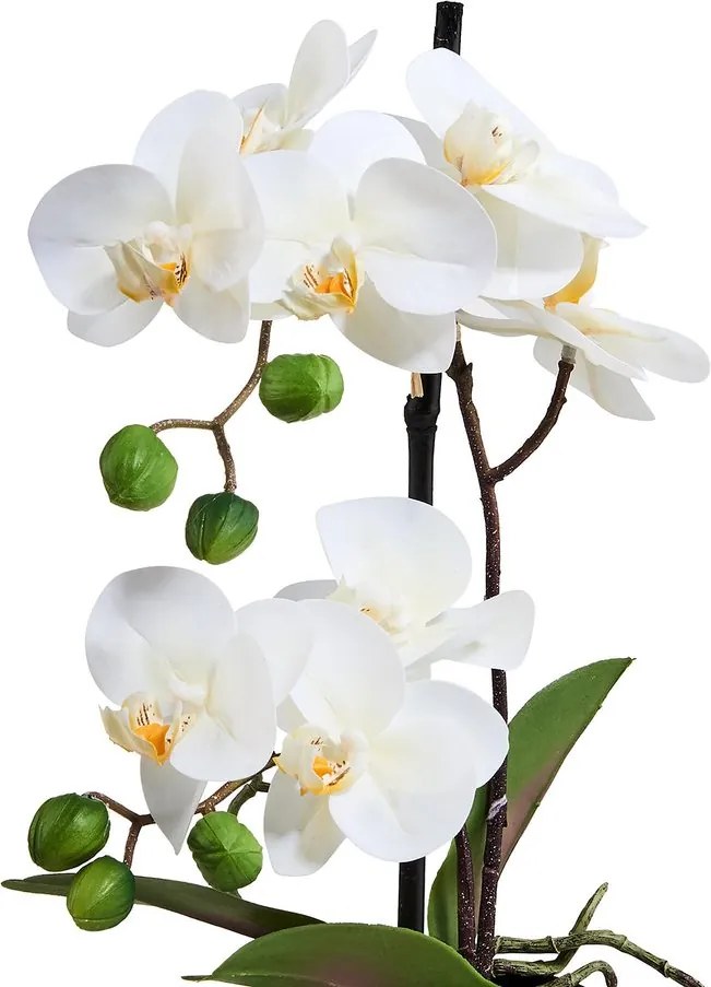 FLORISTA cserepes orchidea, 35 cm