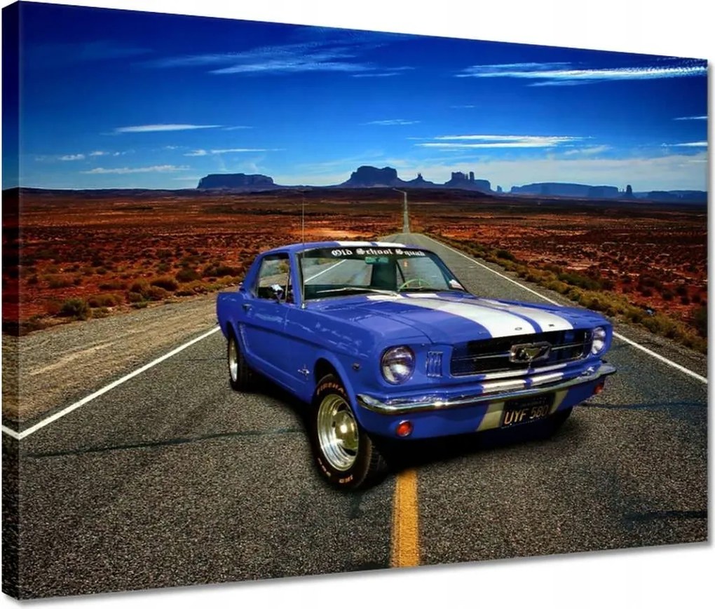 Vászonkép 40x30 Ford Mustang