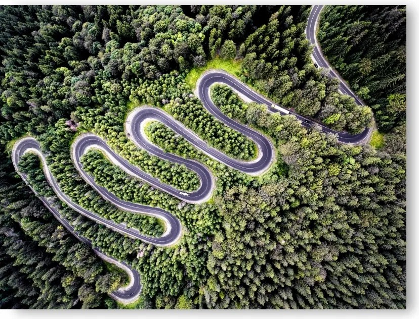 Erdő Út poszter 30x40 cm nyomtatás kép #127