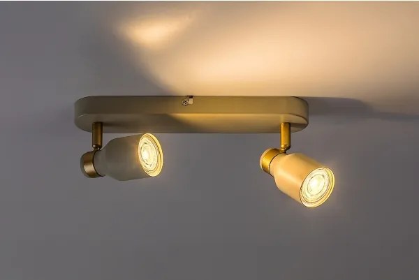 Rabalux 73096 - Irányítható spotlámpa NEZORI 2xGU10/15W/230V