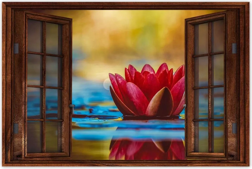 Poszterek 120x80 Vízi liliom Virág Víz