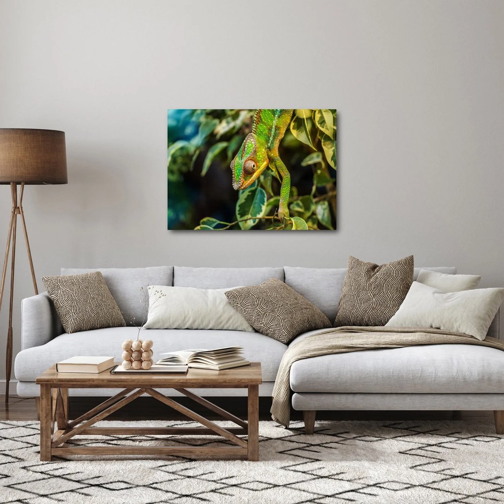 Kaméleon képe (70x50 cm)