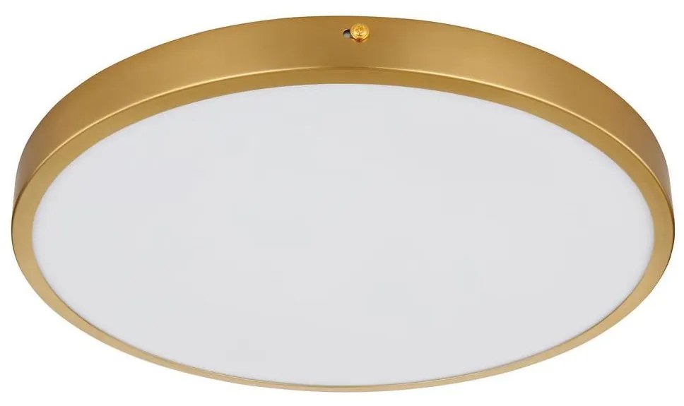 Globo 12381-22 - LED Mennyezeti lámpa TIBEY LED/22W/230V átm. 35 cm