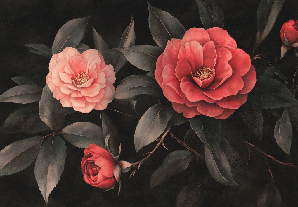 Fotótapéta - Piros virágok sötét háttéren (147x102 cm)