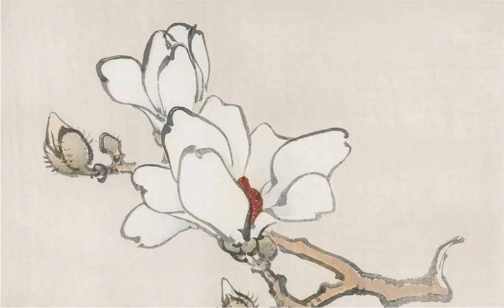 Dekoratív Fotótapéta Fali Falra Finom magnólia 416x254 Ragasztó