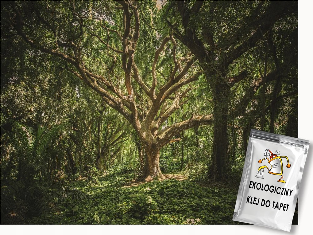 Fotótapéta Flizelina Természet Erdő Fa Ágak 200x140 ragasztó