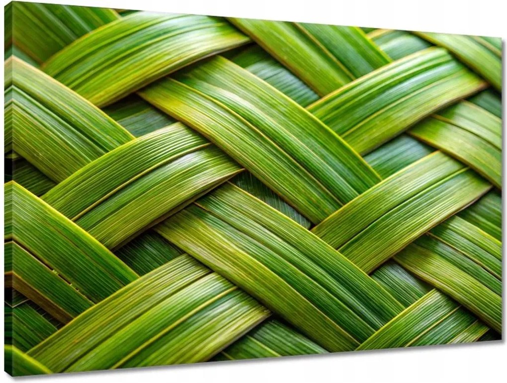 Vászonkép 60x40 Zöld fonott Zöld rattan fonott lemez