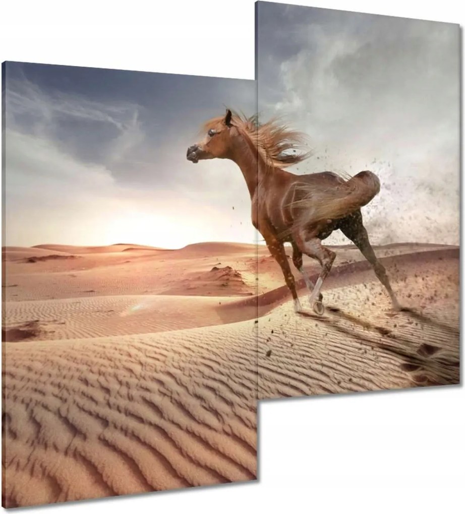 Vászonkép 60x60 Galoppozó ló