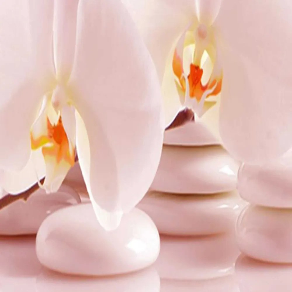 Gario Paraván Zen orchideák Méret: 180 x 170 cm, Kivitelezés: Klasszikus paraván