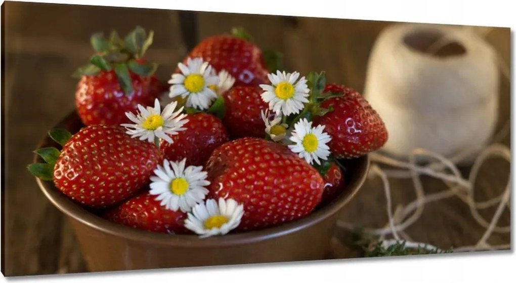 Festmények 115x55 Konyhai képek Forradalmak