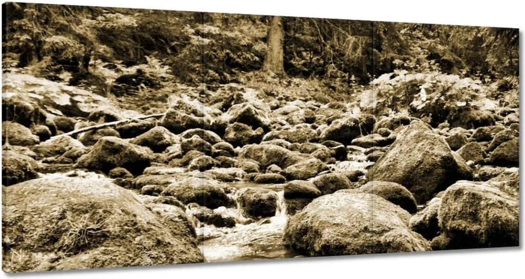 Képek 120x60 Tátra Lengyel hegyek Kilátás